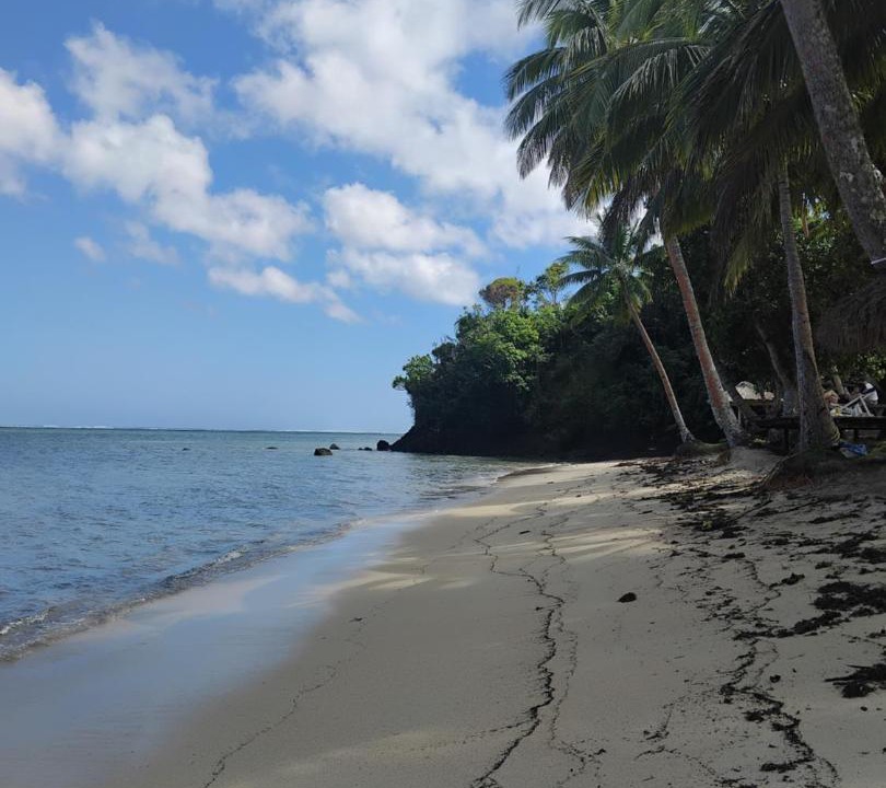 Photo of Others in Korolevu