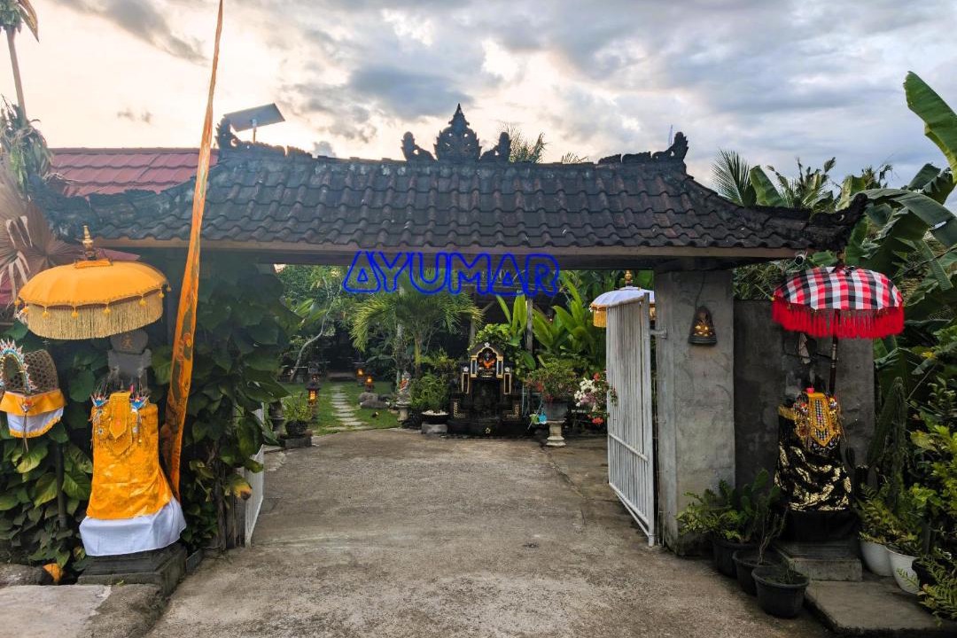 Photo of Others in Medewi