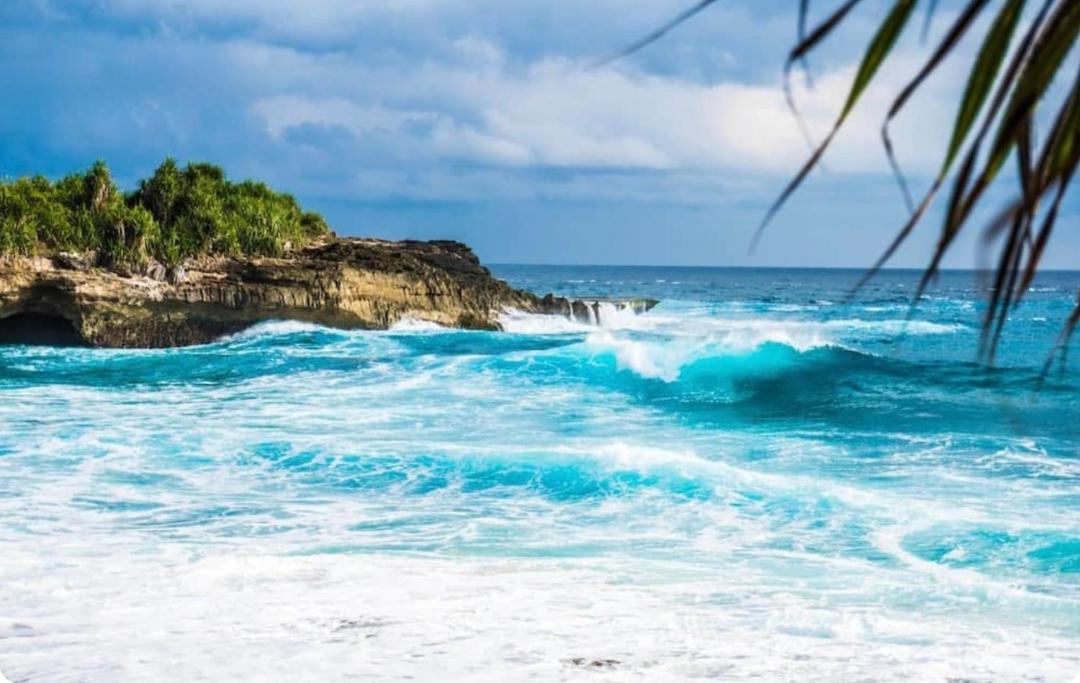 Photo of Others in Dominicus