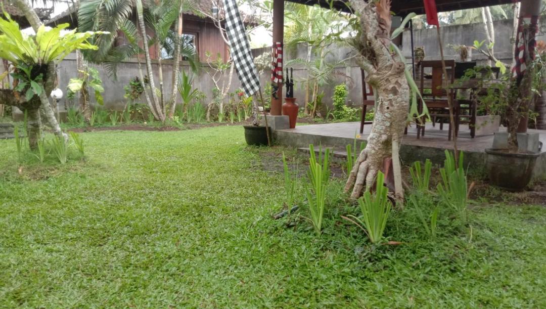 Photo of Others in Mendoyo