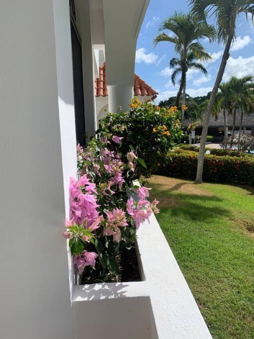 Photo of Patio Balcony in La Mulata