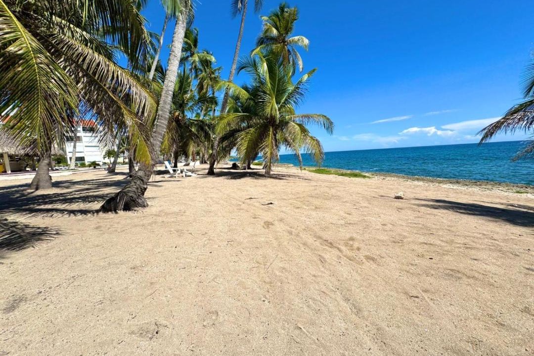 Photo of Others in Caribbean Islands
