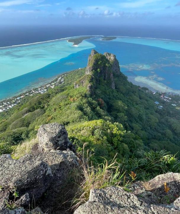 Photo of Others in Maupiti