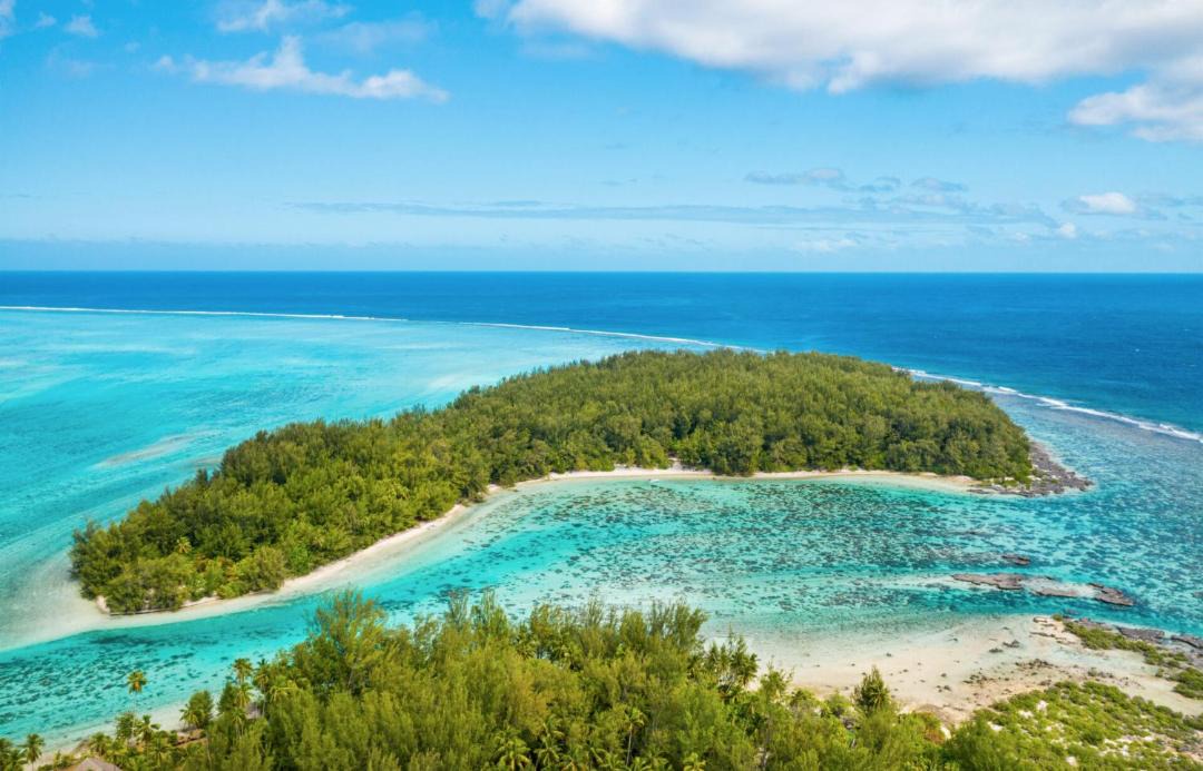 Photo of Others in Moorea-Maiao
