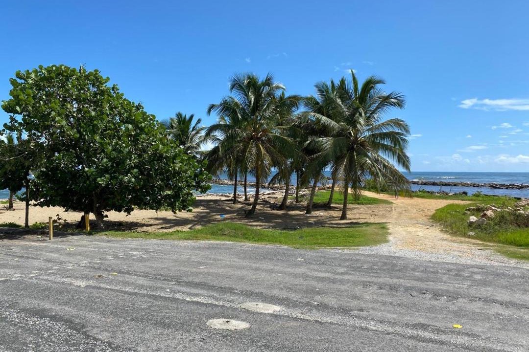 Photo of Others in Nagua