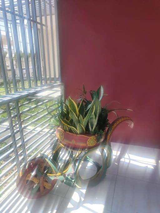 Photo of Patio Balcony in Santo Domingo Este