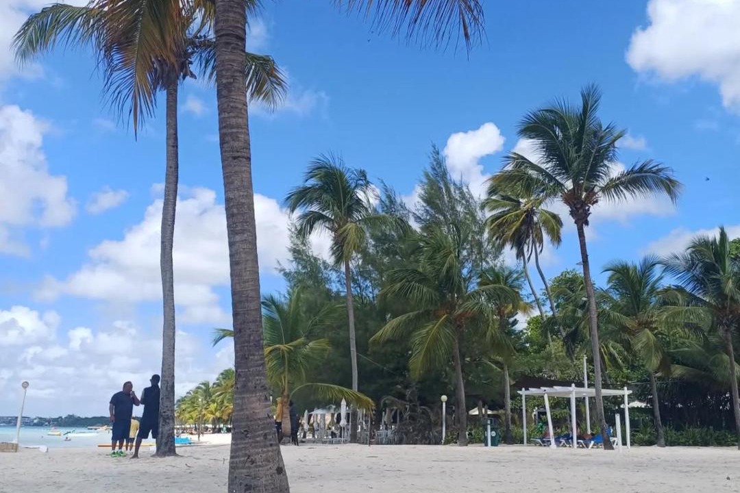 Photo of Others in Boca Chica