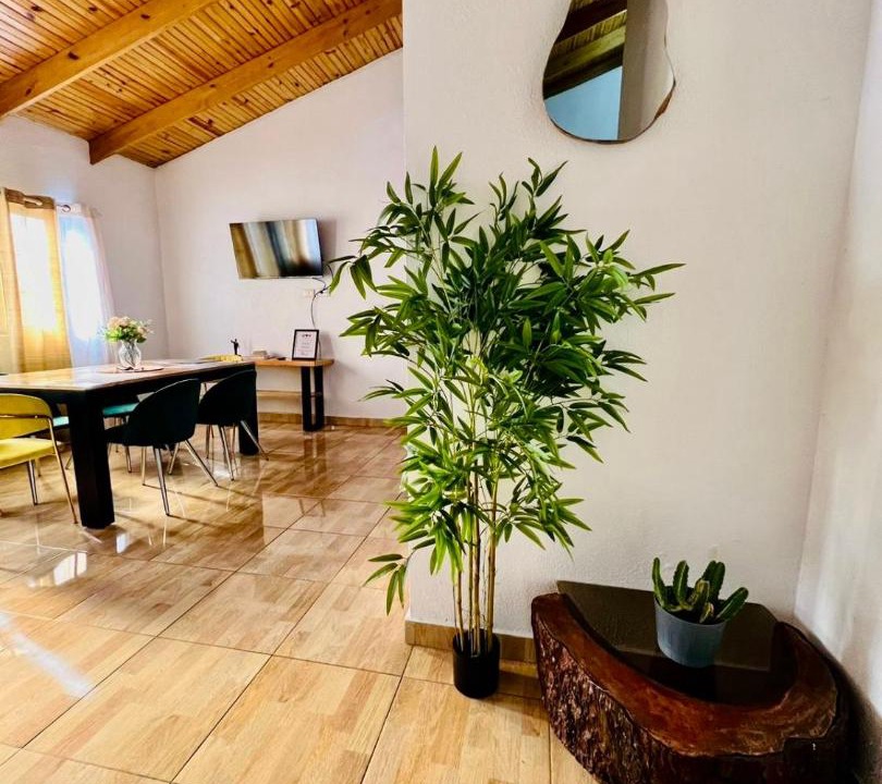 Photo of Livingroom in Jarabacoa