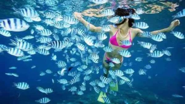 Photo of Human In Picture in Mana Island