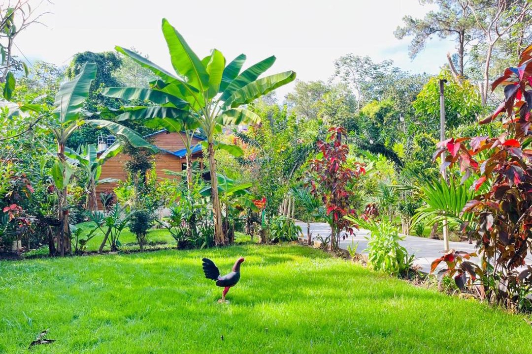 Photo of Outdoor in La Vega Province