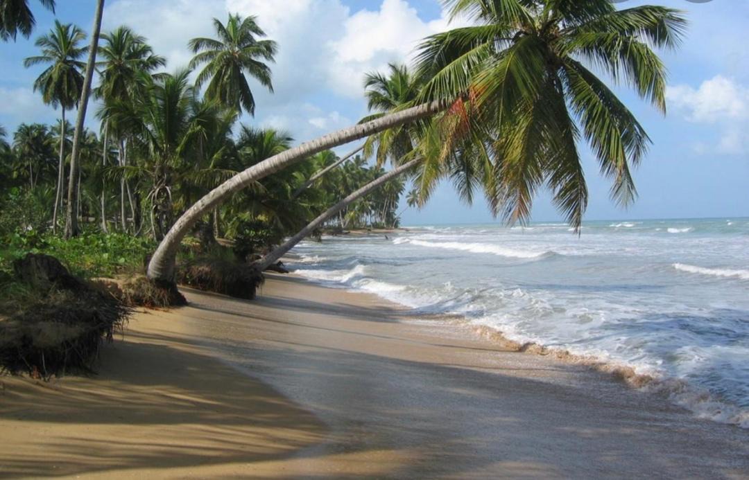 Photo of Others in Las Terrenas