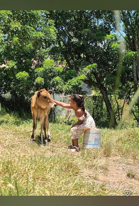 Photo of Human In Picture in La Romana
