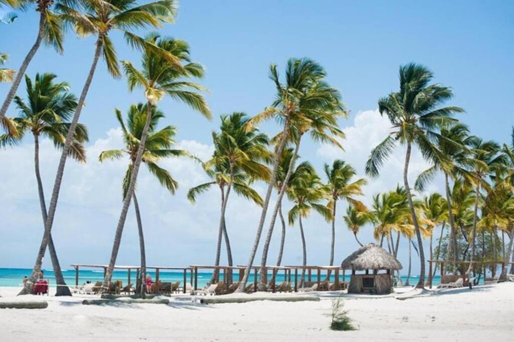 Photo of Others in Cap Cana Marina