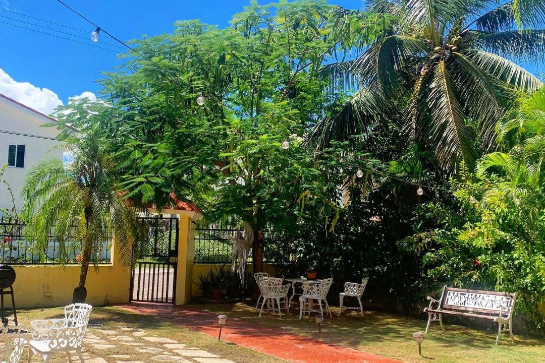 Photo of Others in Bavaro
