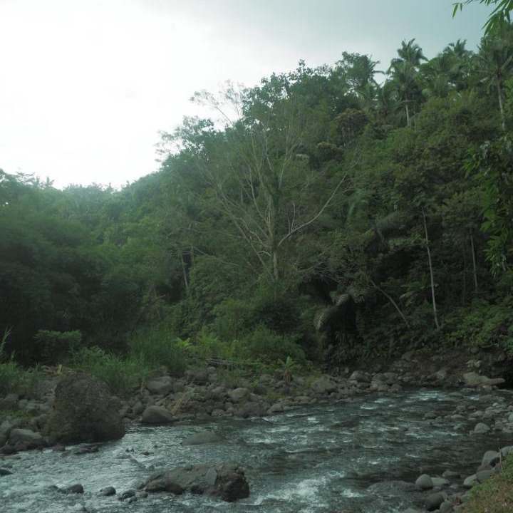 Photo of Others in Medewi