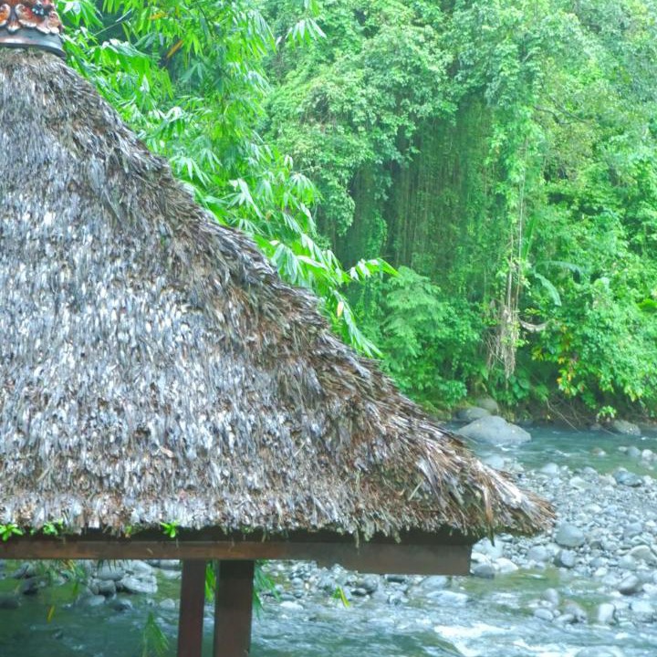 Photo of Others in Medewi