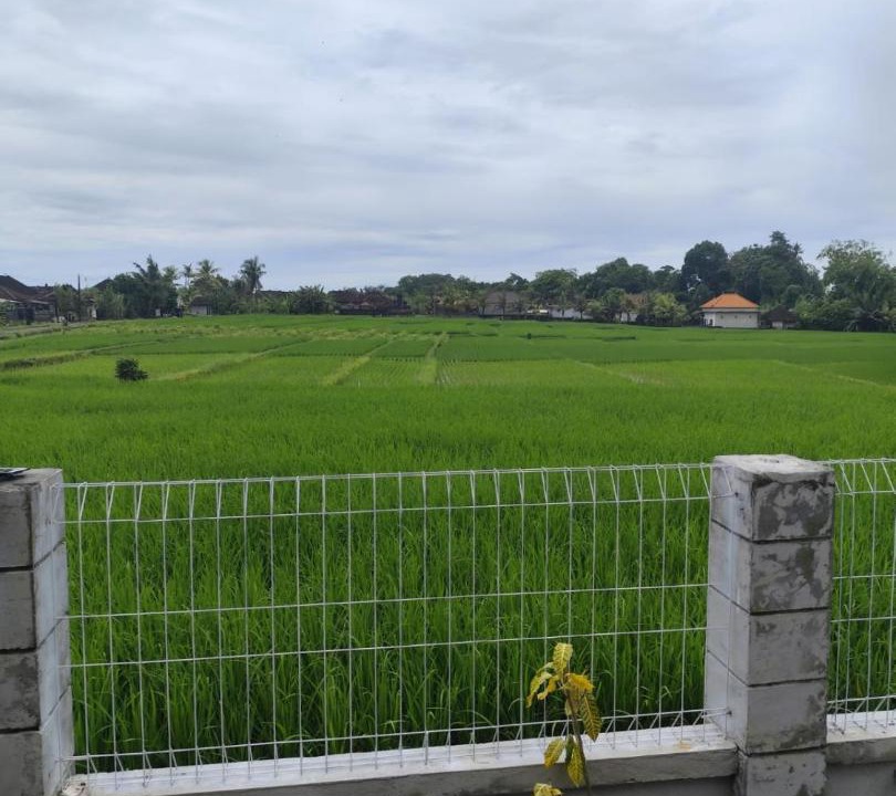 Photo of Others in Kelating