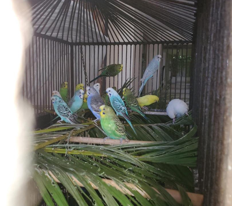 Photo of Others in Sosua