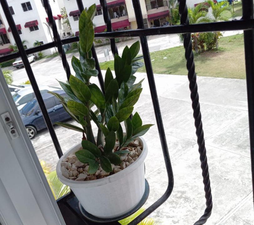 Photo of Patio Balcony in Pantoja