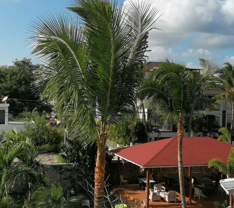 Photo of Others in Dominicus