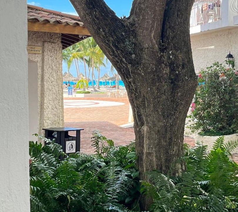 Photo of Others in Dominicus