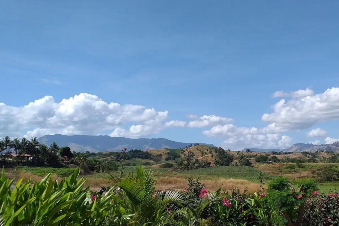 Photo of Others in Nadi