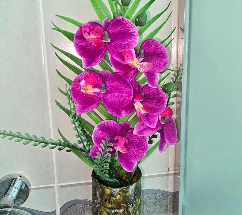 Photo of Bathroom in Anse Royale