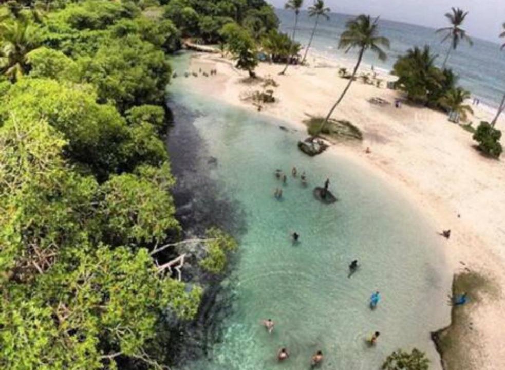 Photo of Others in Puerto Bahia