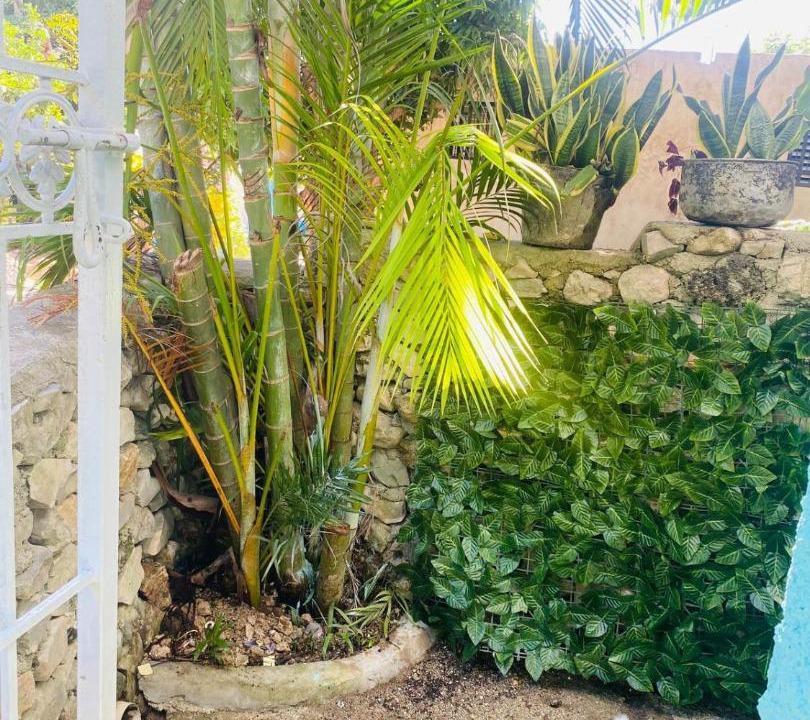 Photo of Others in La Cienaga