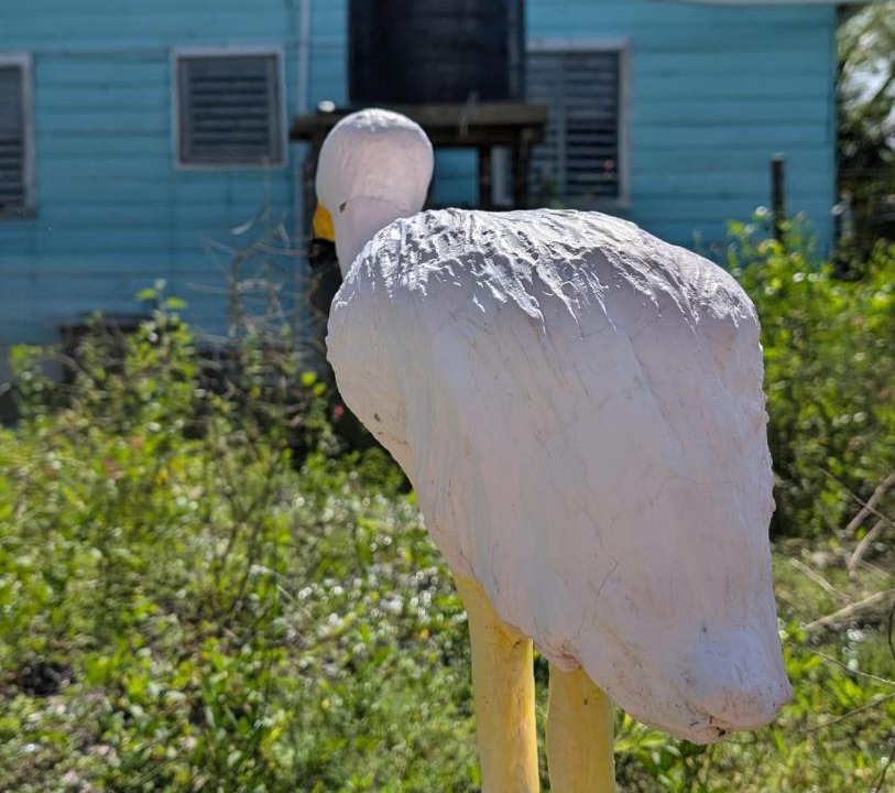 Photo of Others in Parque Nacional del Este