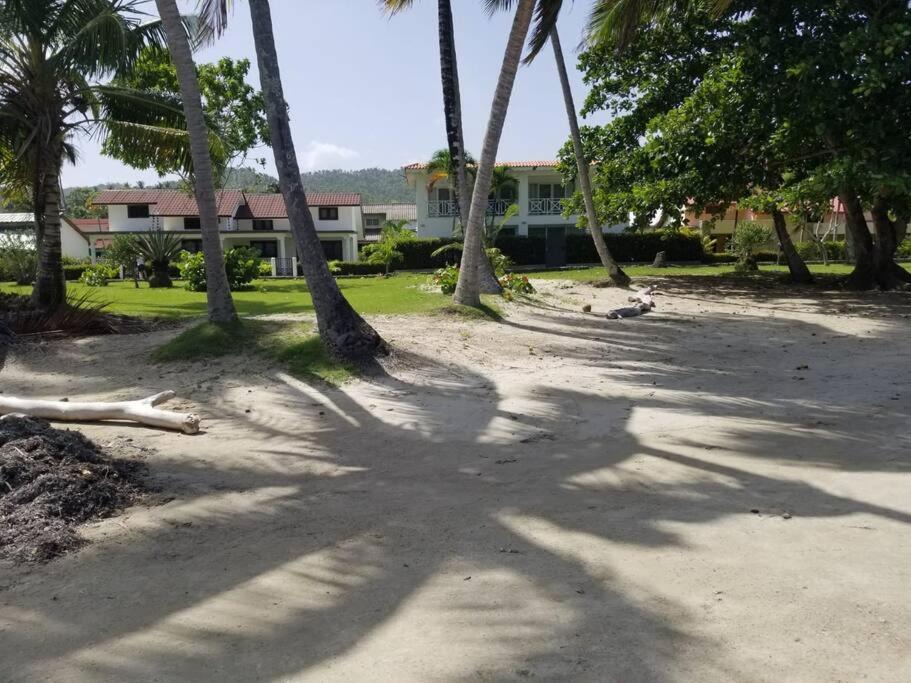 Photo of Others in Puerto Bahia