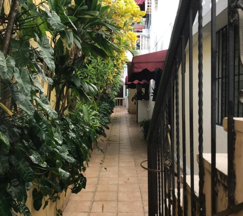 Photo of Others in Gascue