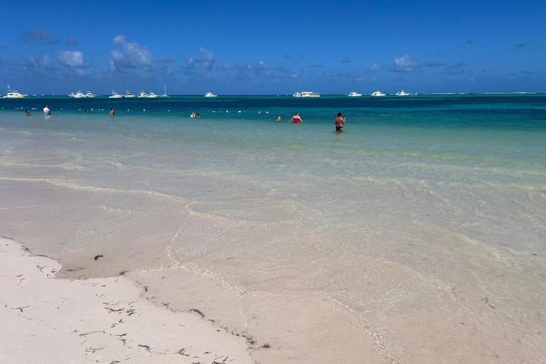 Photo of Others in Playa Bibijagua