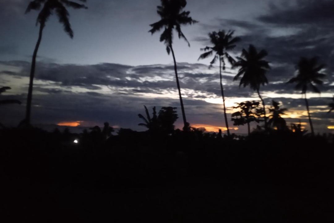 Photo of Others in Taveuni Island East