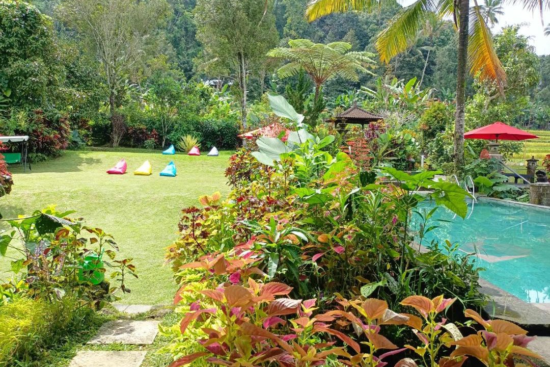 Photo of Others in Munduk