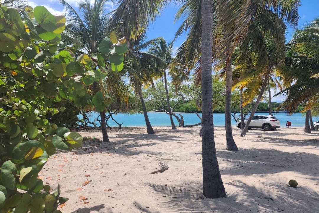Photo of Others in Barahona