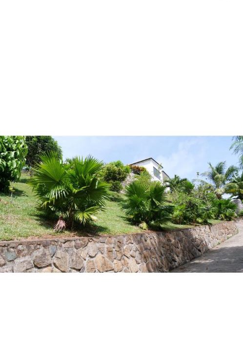 Photo of Others in Anse La Mouche