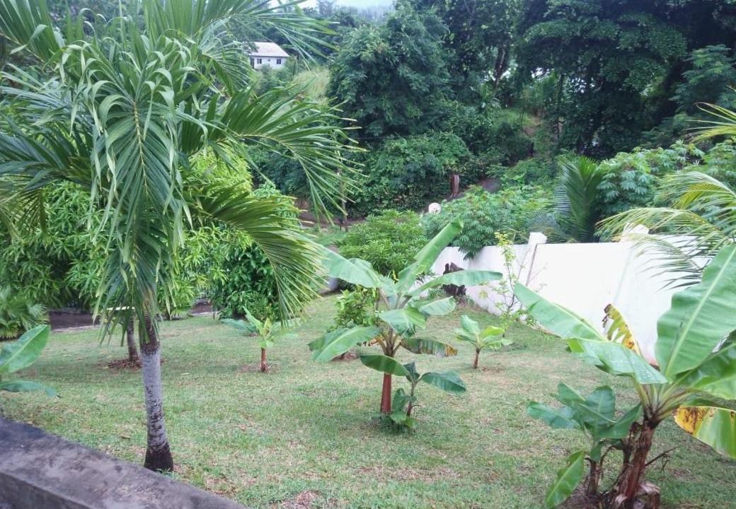 Photo of Outdoor in Anse La Mouche