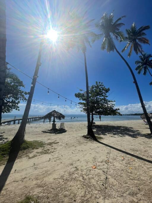 Photo of Others in Puerto Bahia