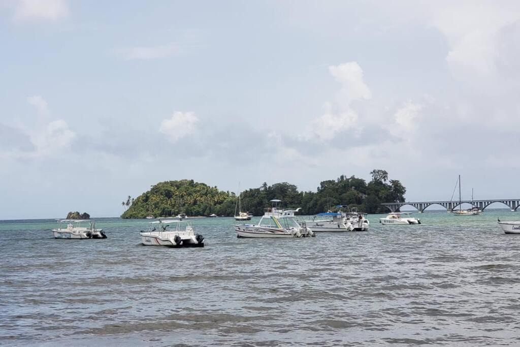 Photo of Others in Puerto Bahia