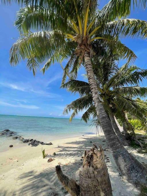 Photo of Others in Moorea-Maiao