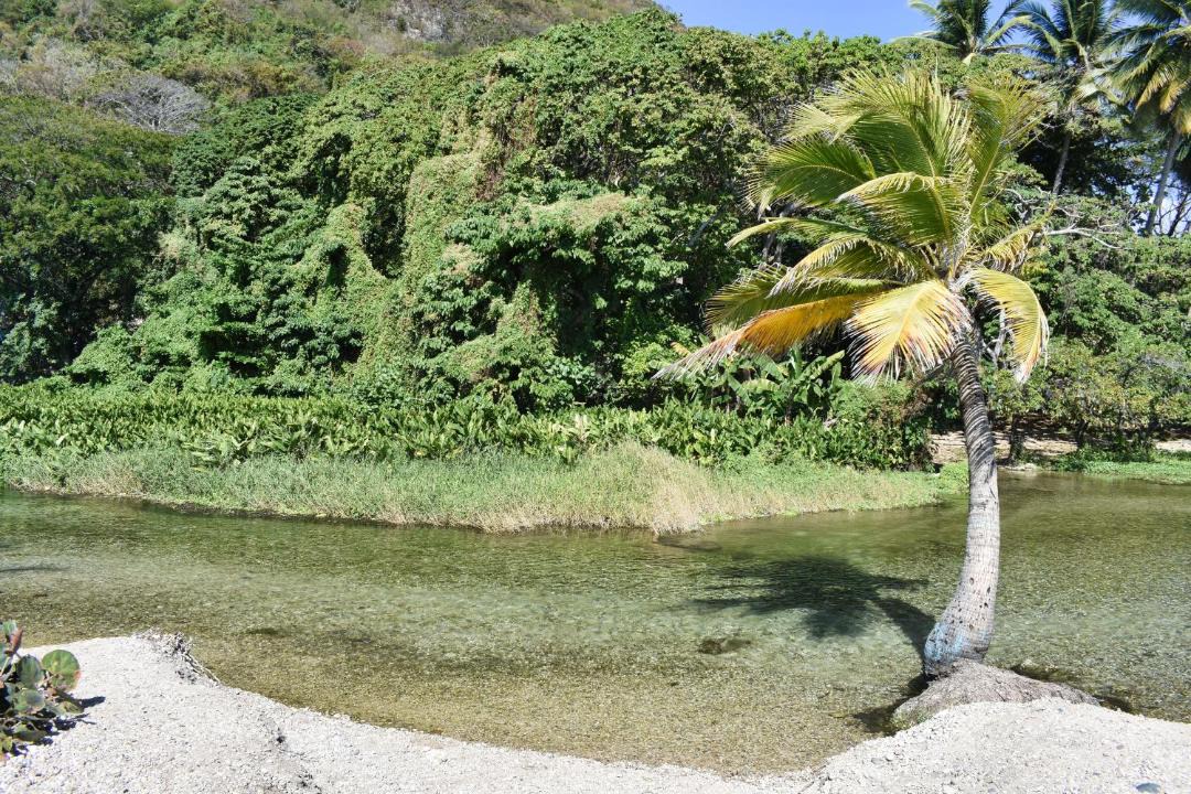 Photo of Others in Los Patos
