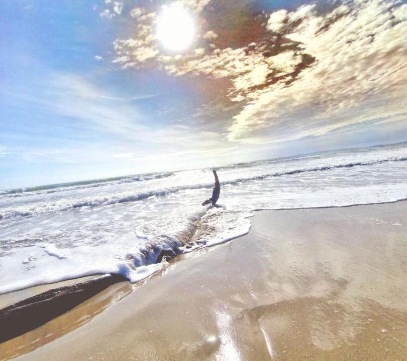Photo of Human In Picture in Cabarete