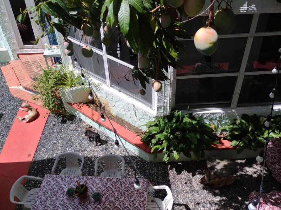 Photo of Others in Juan Dolio - El Pueblo