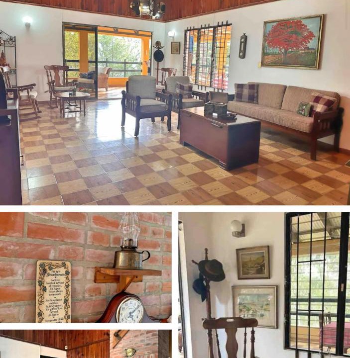 Photo of Livingroom in Constanza