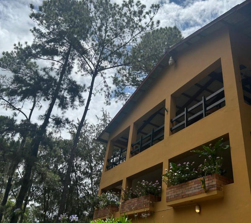 Photo of Others in Constanza