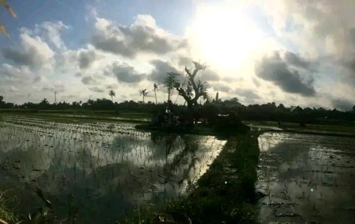 Photo of Others in Lodtunduh