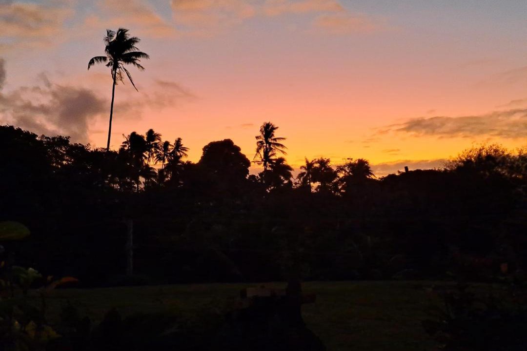 Photo of Others in Taveuni Island East