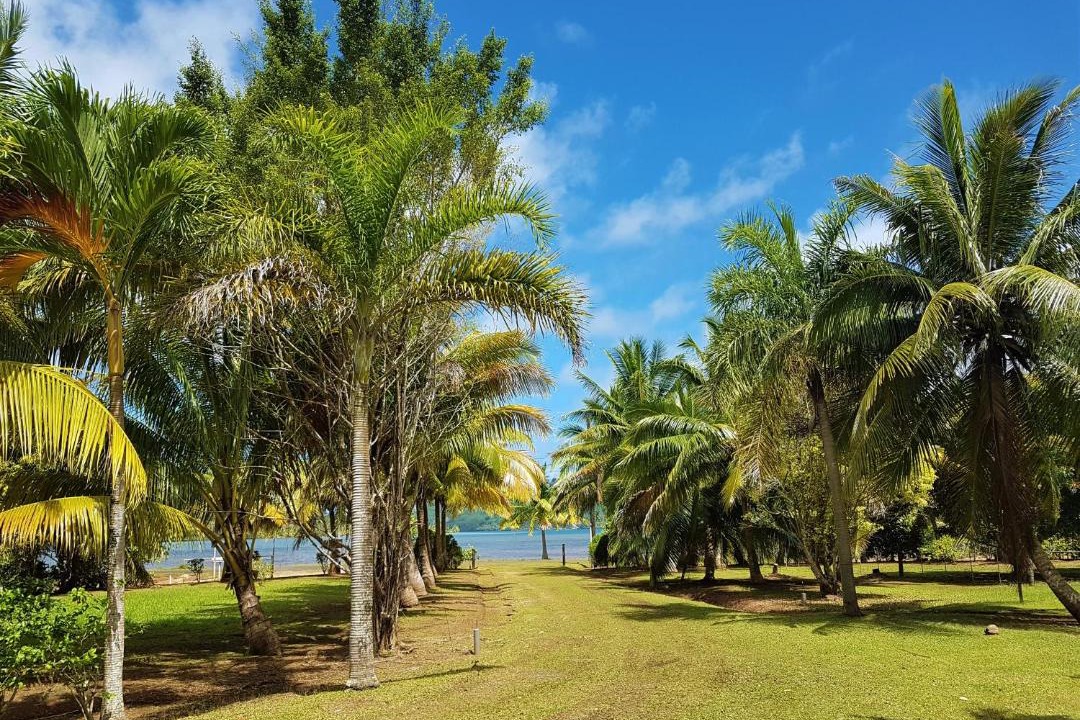 Photo of Others in Huahine
