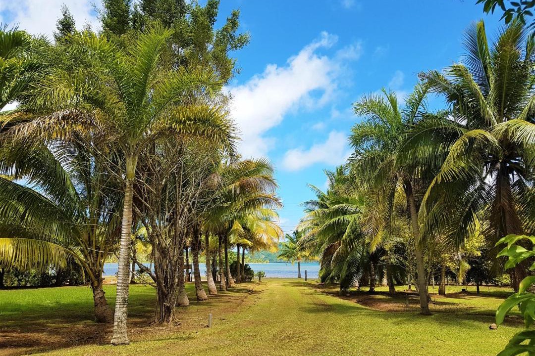 Photo of Others in Huahine